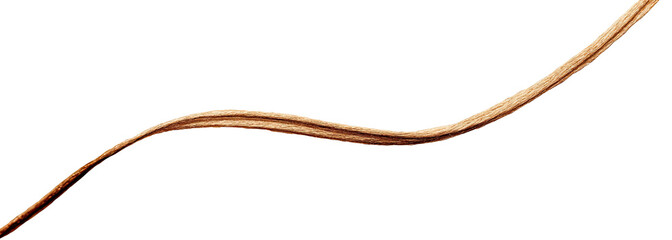 A curved, light-brown, textured line against a black background