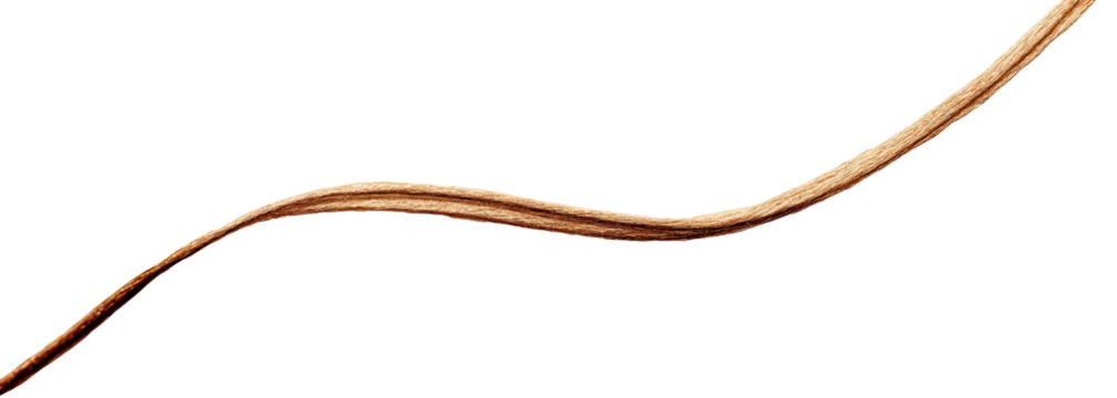 A curved, light-brown, textured line against a black background