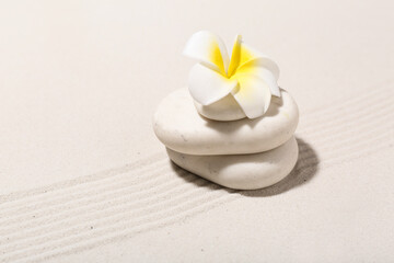 Spa stones with plumeria flower on light sand. Zen concept