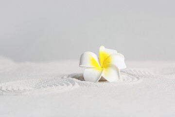 Spa stone with plumeria flower on light sand against grey wall. Zen concept