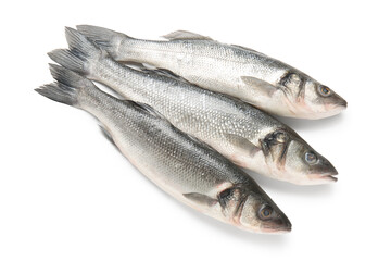 Fresh tasty seabass fish isolated on white background, closeup