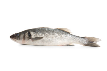 Fototapeta premium Fresh tasty seabass fish isolated on white background, closeup