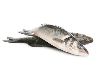 Uncooked seabass fish isolated on white background, closeup