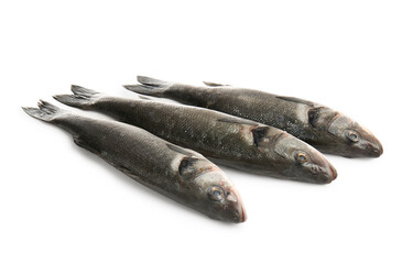 Uncooked seabass fish isolated on white background, closeup