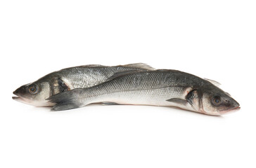 Uncooked seabass fish isolated on white background, closeup