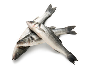 Fresh seabass fish isolated on white background, closeup
