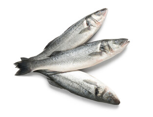 Fresh seabass fish isolated on white background, closeup