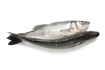 Fresh seabass fish isolated on white background, closeup