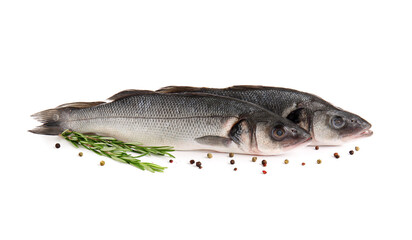 Fresh seabass fish, black peppercorns and rosemary twigs isolated on white background, closeup