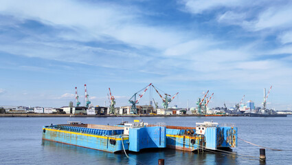 Naklejka premium 横浜南部市場前の海