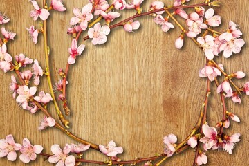 Pink spring flowers branches  frame