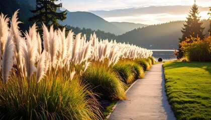 Fototapeta premium Pathway to Serenity: A tranquil path meanders through a field of pampas grass, guiding the eye towards a serene lake. Bathed in the soft light of dawn.