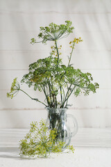 Glass jar with fresh dill on white wooden background