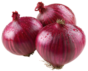 Three vibrant red onions, close-up, glistening with water droplets