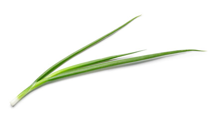 Fresh green onion on white background