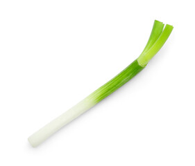 Piece of fresh green onion on white background