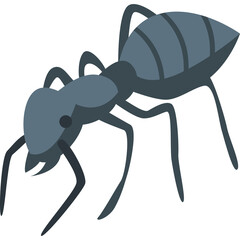 Isometric illustration of a dark gray ant on a transparent background depicted in a stylized low-poly art style highlighting its segmented body and delicate legs