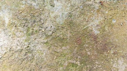 Natural mossy concrete wall texture background design with grunge, aged, and weathered cement surface. Perfect for graphic design, 3D texture, poster, and rustic architecture projects.