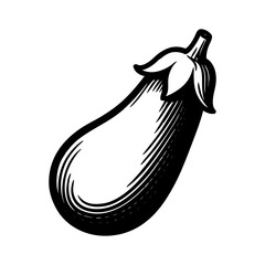 Vintage black and white vector illustration of an eggplant, engraved style vegetable drawing for organic, vegan, or farm-to-table design projects