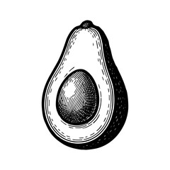 Vintage black and white vector illustration of a sliced avocado with seed, engraved style food drawing for organic, vegan, or natural product design