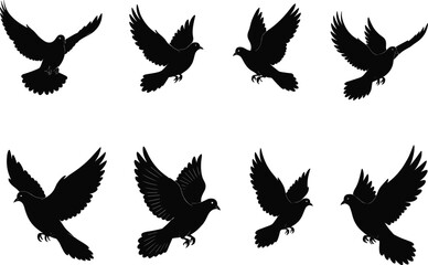 Flying bird silhouettes in motion, dove vector illustration, graceful wing poses, black avian shapes, pigeon flight dynamics, nature art, stock design element