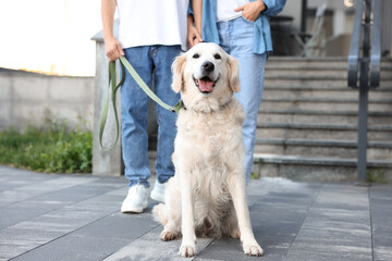 Couple with their adorable golden retriever dog in on city street, closeup