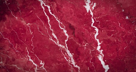 Revealing meandering river channels carving red-toned vegetation from satellite, with tributaries