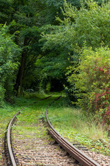 a railway line disappearing into the forest