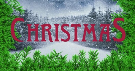 Letter C fading, red CHRISTMAS letters appearing as pine branches sliding framing snowy forest path