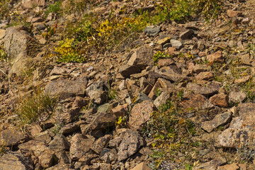 27 August 2025 Medeo Shymbulak Mountain Resort, Almaty City, Kazakhstan