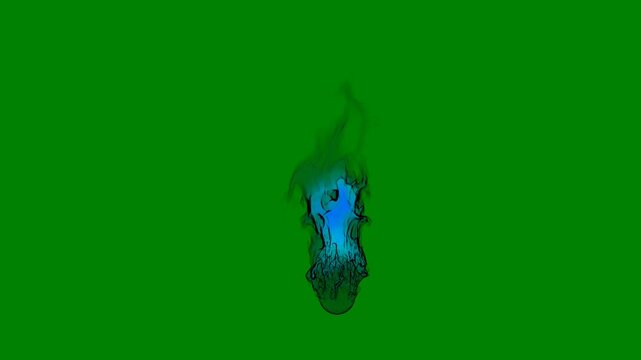 A green screen with small hole in the middle and background an image of bird skull on it blue flame fire animated chromakey background gesture emotion cartoonish elements illustration