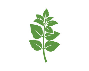 Fresh Mint Leaves Branch Green Vector Illustration