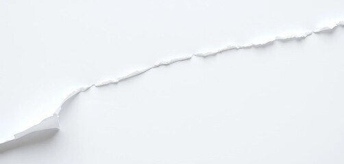 Close-up of a torn strip of white paper, edges frayed and uneven,  isolated,  graphic