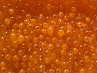 Top view of fresh raw salmon fish eggs cured in brine solution for sushi seafood consumption in filled frame format