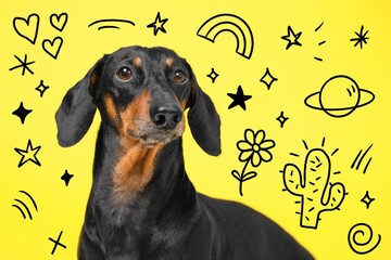 A dachshund is surrounded by playful cosmic doodles, including stars, hearts, and planets on a vibrant yellow background, creating a whimsical and joyful scene.