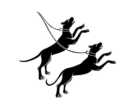 りょうけん座の二頭の犬の白黒イラスト（白フチあり）