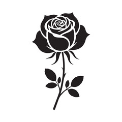 black rose vector illustration