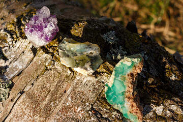 Amethyst druse, opal with dendrites and green chrysoprase lying on a tree in the sun, mineralogical varieties of silica