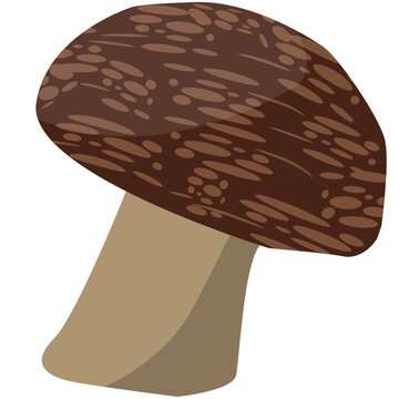 mushroom vector illustration