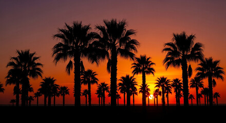 Obraz premium Palm trees silhouetted against a vibrant sunset sky, creating a tropical paradise atmosphere with warm colors and a sense of tranquility and relaxation