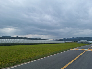 It's a field and a straight road.