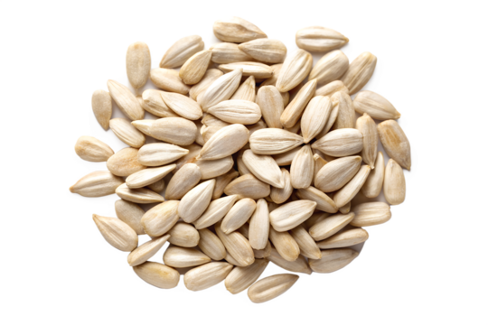 Set of red paint brush strokes isolated on transparent background for design use