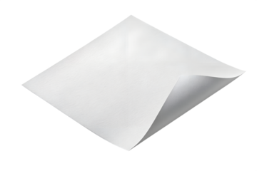 Set of botanical elements isolated on transparent background for your design