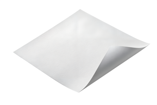 Set of botanical elements isolated on transparent background for your design