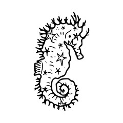 stylized seahorse doodle with star accents