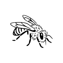 minimalist bee line art graphic