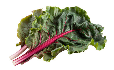 fresh swiss chard leaves on white background