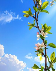 A flowering branch reaches towards a vibrant, sunny blue sky