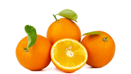 Fresh ripe oranges with green leaves isolated on white background, juicy citrus fruit full of vitamin C, natural tropical food concept for healthy lifestyle and freshness