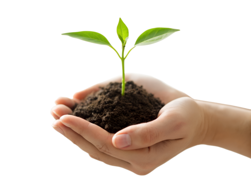 Close up of a person s hands gently holding a small green seedling growing from rich dark soil against a black background - Powered by Adobe